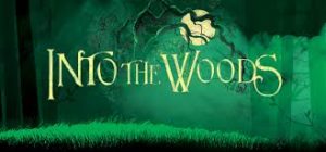 into the woods musical